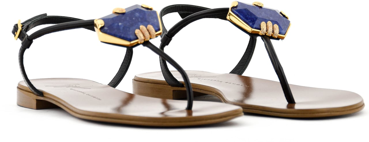 Giuseppe Zanotti Ganass Flat Nero/cobalt Zwart