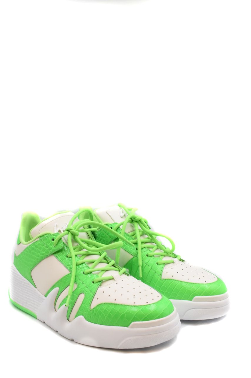 Giuseppe Zanotti Sneakers Divers Divers