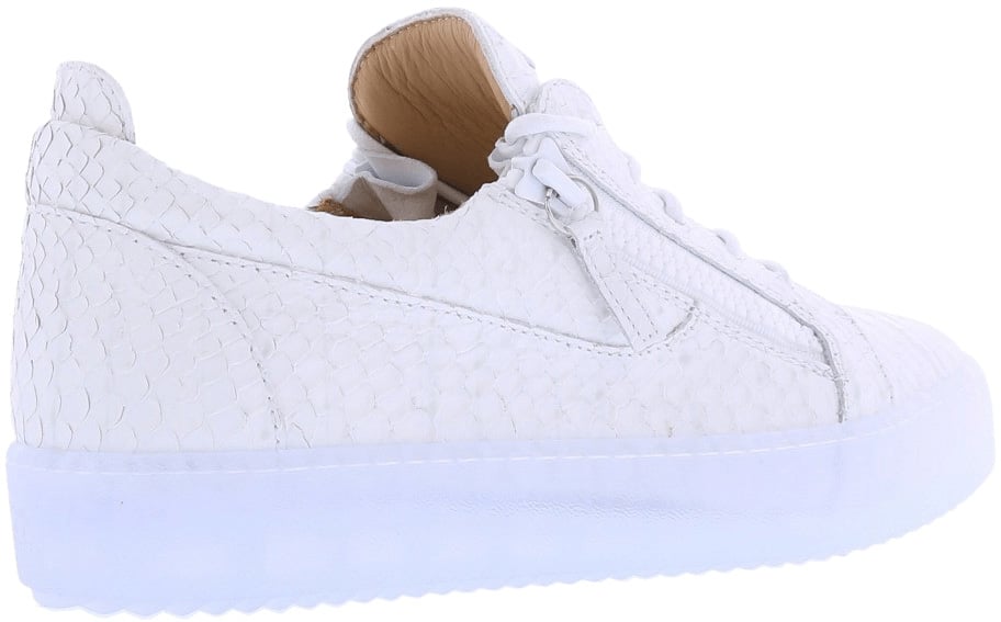Giuseppe Zanotti Heren Giuseppe Zanotti Rigolia Wit