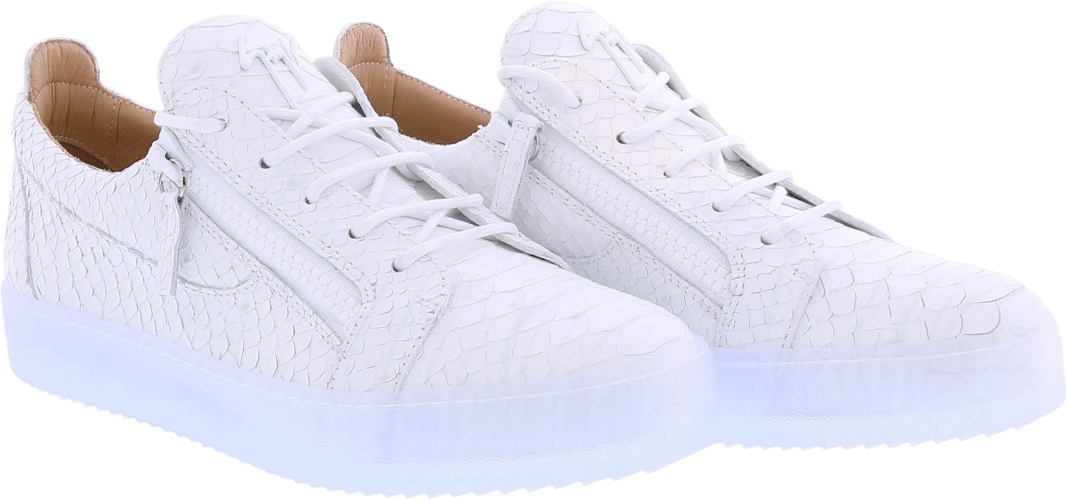 Giuseppe Zanotti Heren Giuseppe Zanotti Rigolia Wit