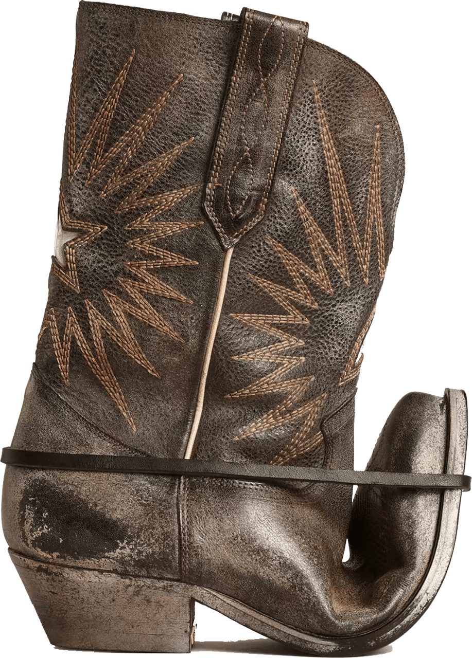 Golden Goose Wish Star Low Black Ecru Silver Zwart