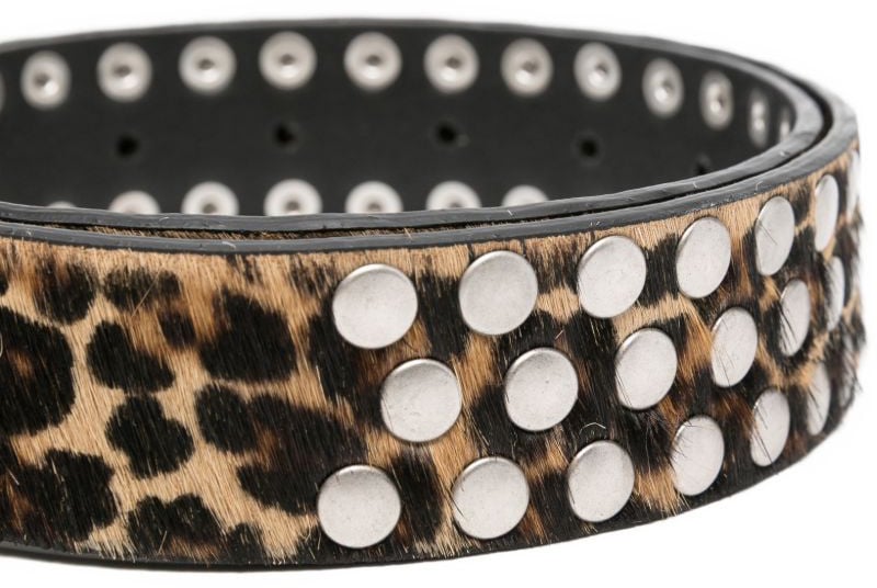 Golden Goose Belts Brown Bruin