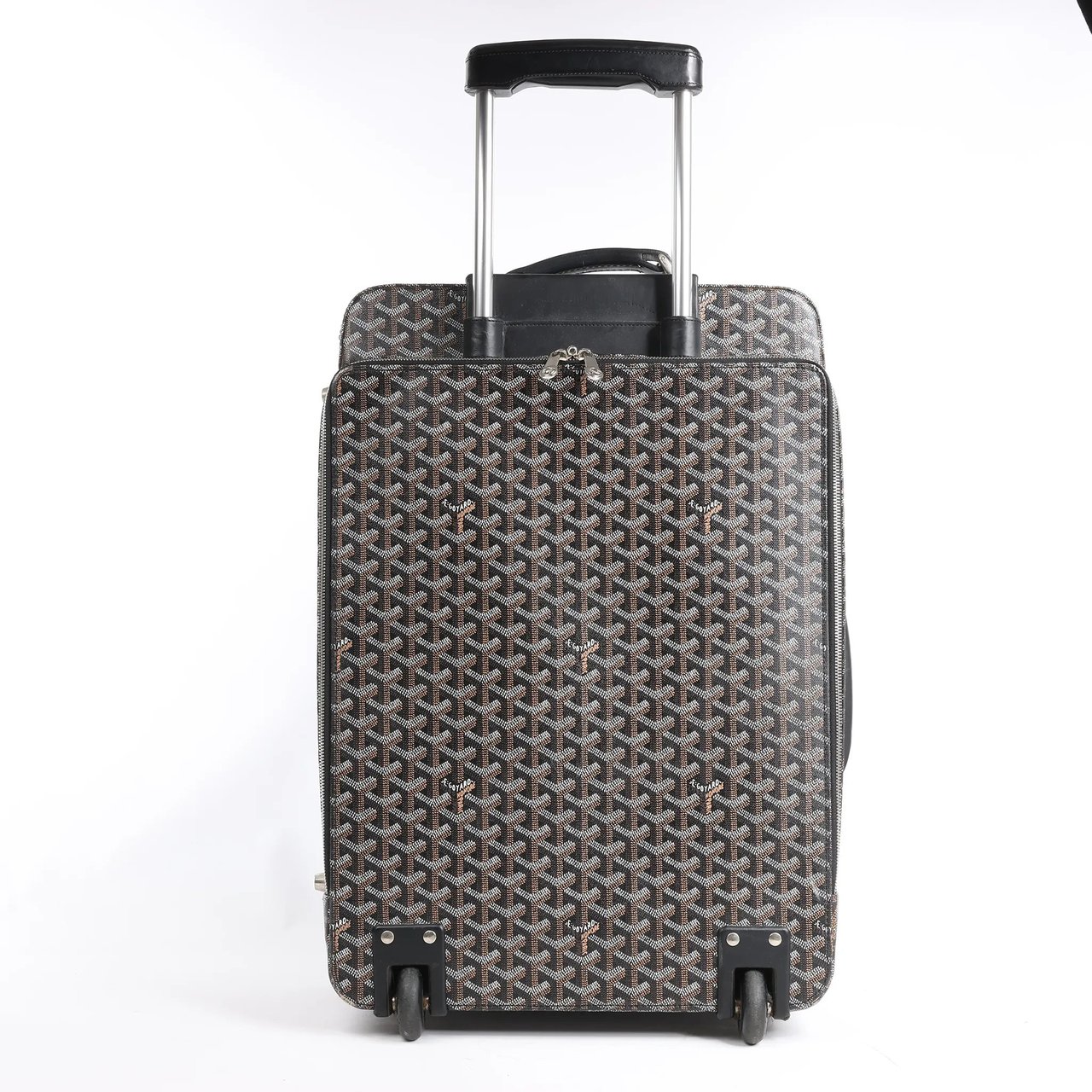 Goyard Goyard Trolle PM PVC x Leather Travel Bag in Brown Divers