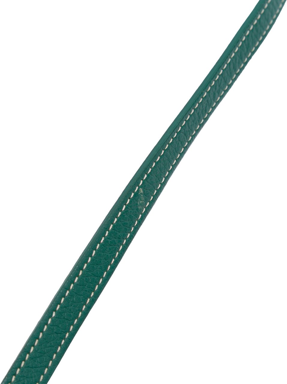 Goyard Mini Goyardine Saigon Souple Groen