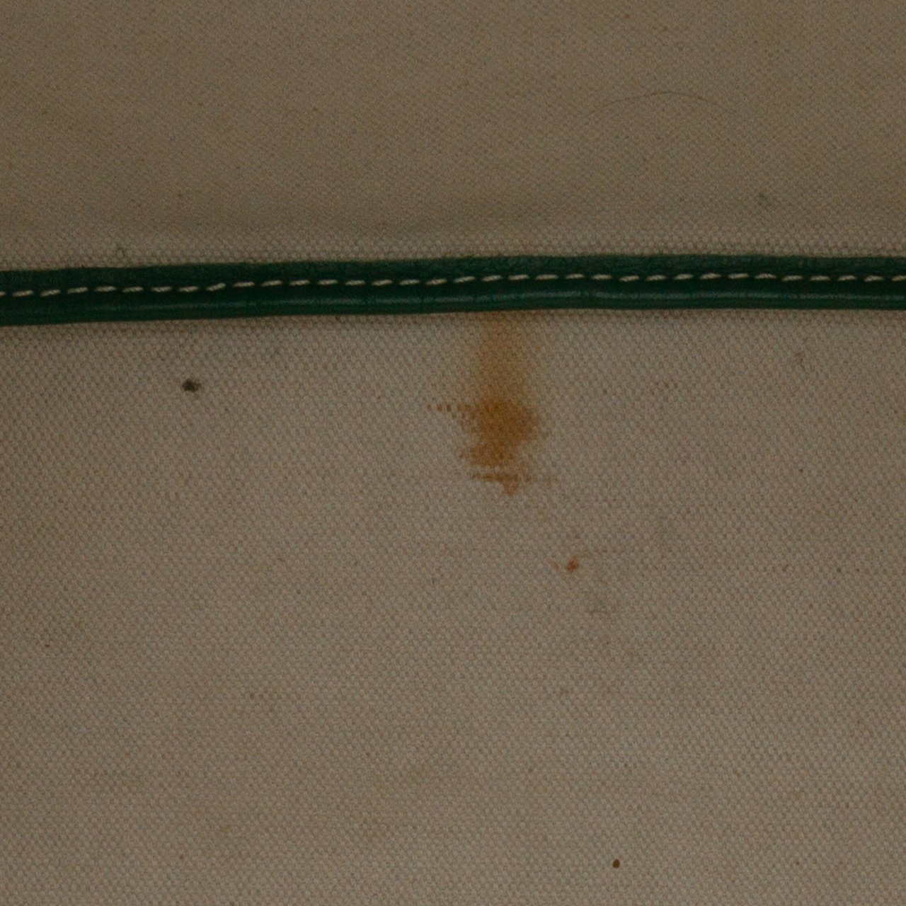 Goyard Goyardine Saint Louis PM Groen