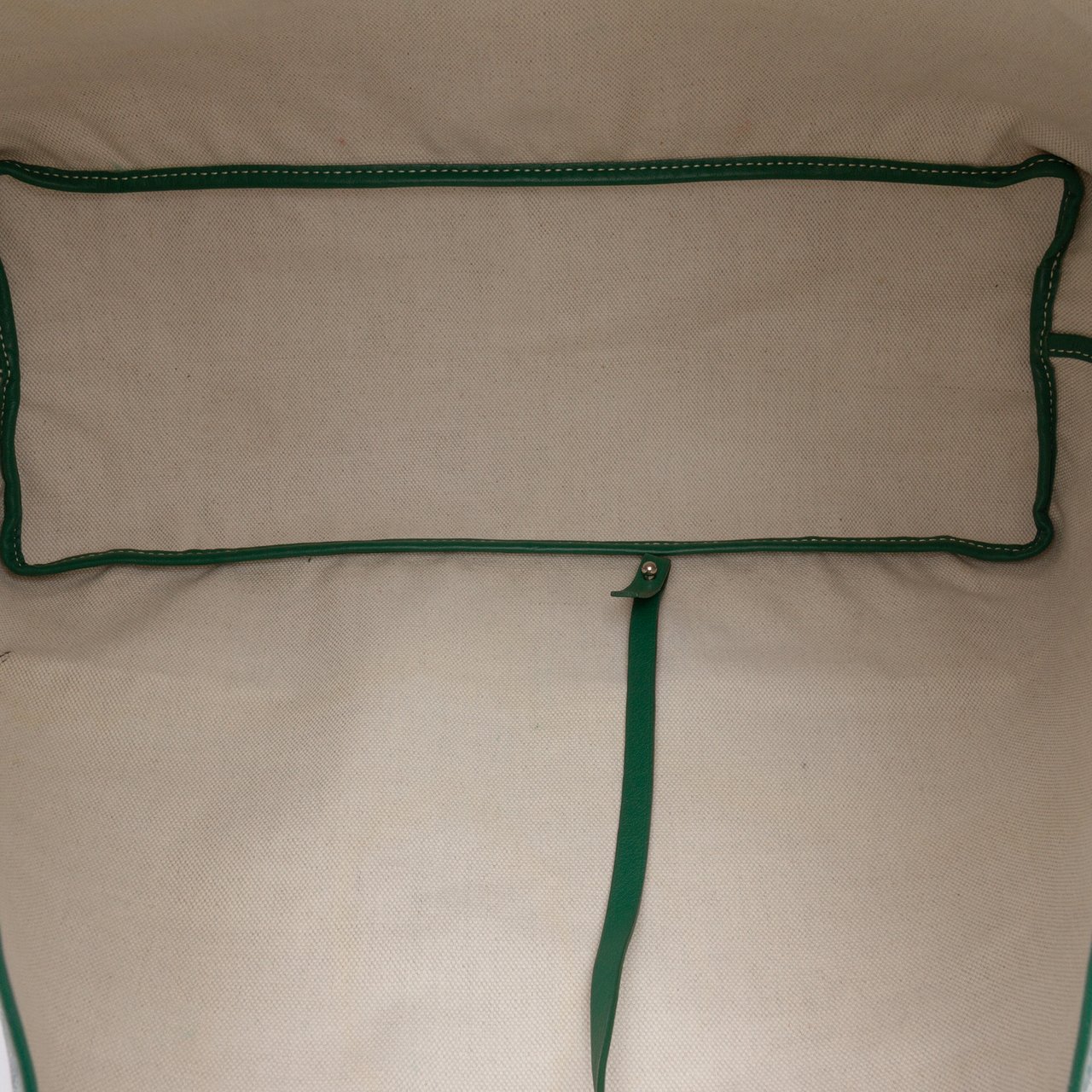 Goyard Goyardine Saint Louis PM Groen