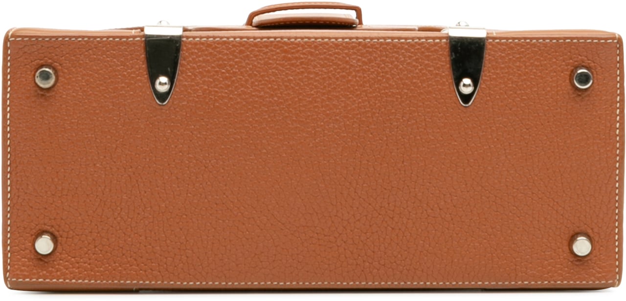 Goyard Leather Saigon Structured PM Bruin