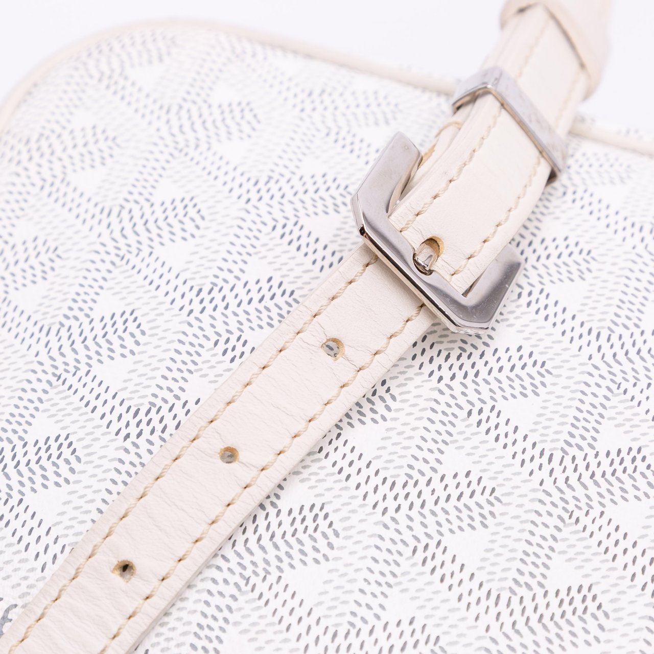 Goyard Goyardine Cap Vert Crossbody Wit