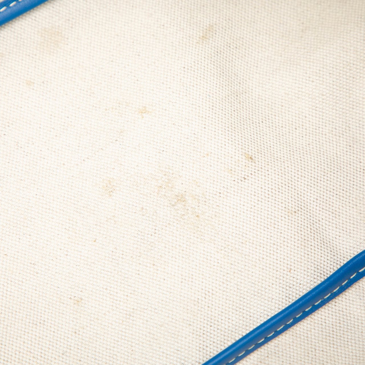 Goyard Goyardine Saint Louis PM Blauw