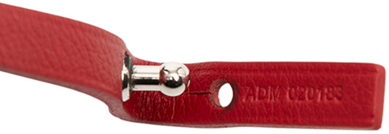 Goyard Goyardine Saint Louis PM Rood