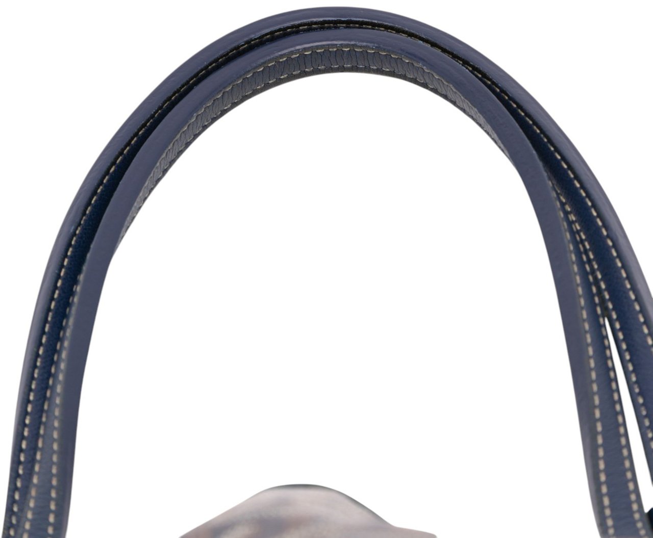 Goyard Goyardine Saint Louis PM Blauw
