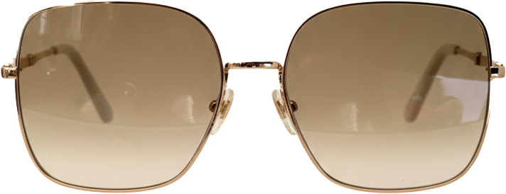 Gucci Gucci GG0879 Sunglasses Gold Goud