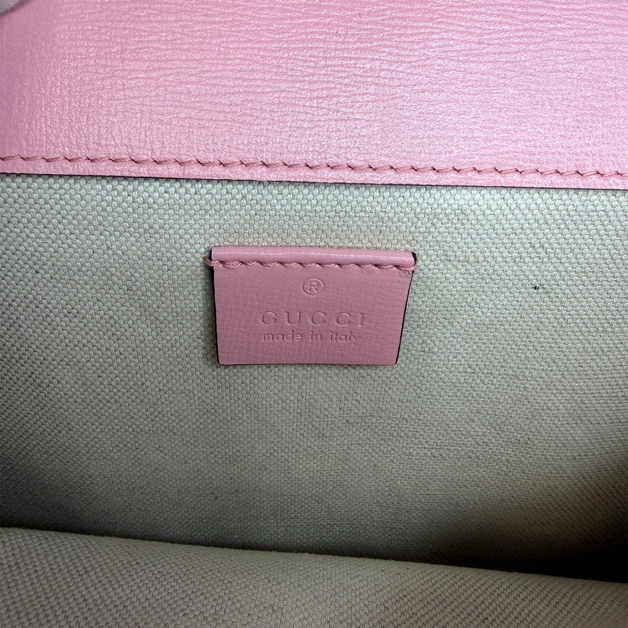 Gucci Dionysus Bicolor Small Leder Azalea / sehr gut Rood