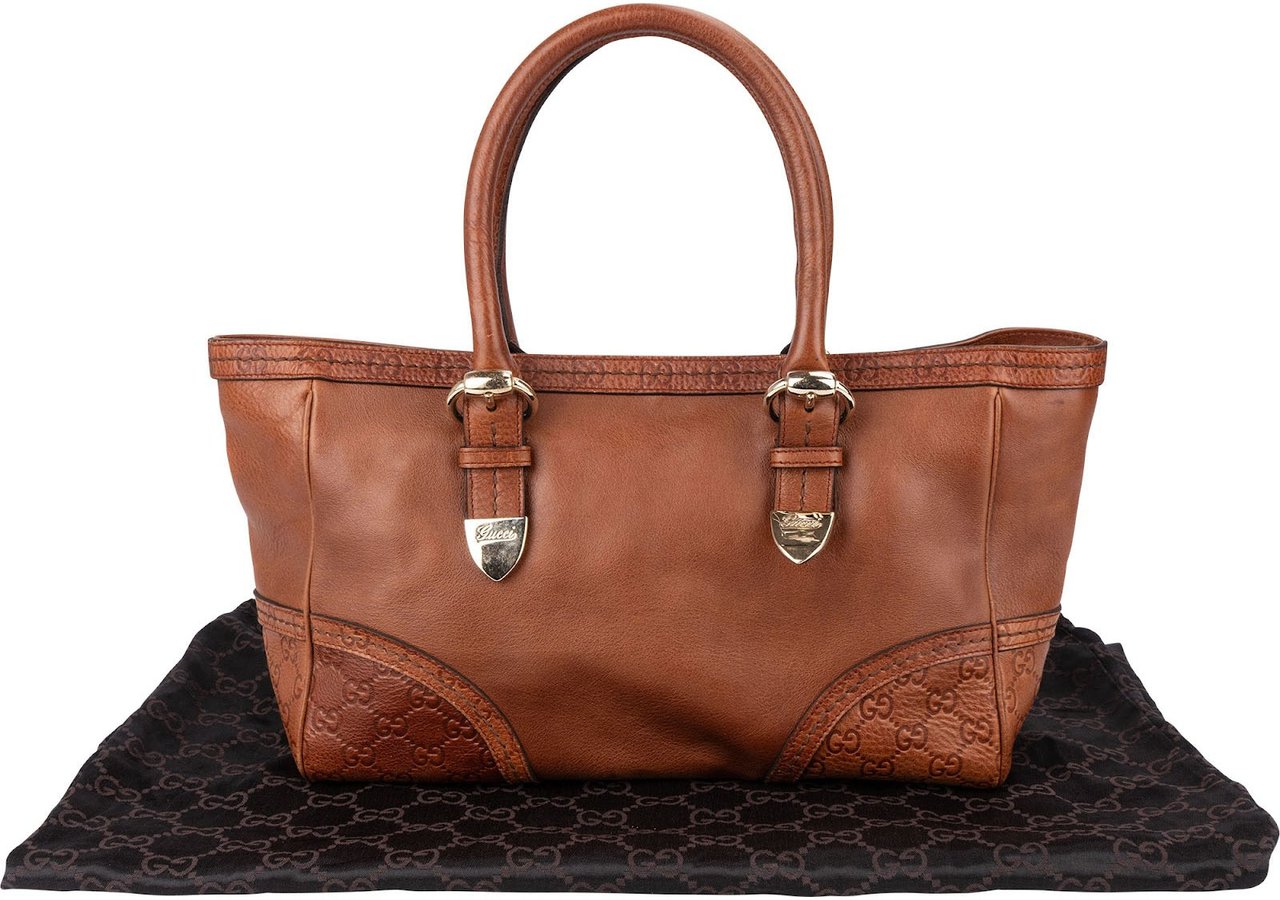Gucci Guccissima Leather Eclipse Handbag Bruin