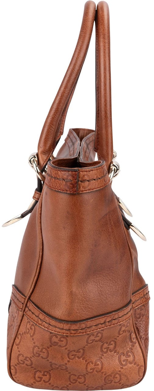 Gucci Guccissima Leather Eclipse Handbag Bruin