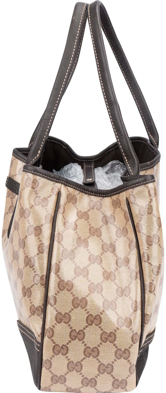 Gucci Gucci Canvas Monogram Princy Handbag Bruin