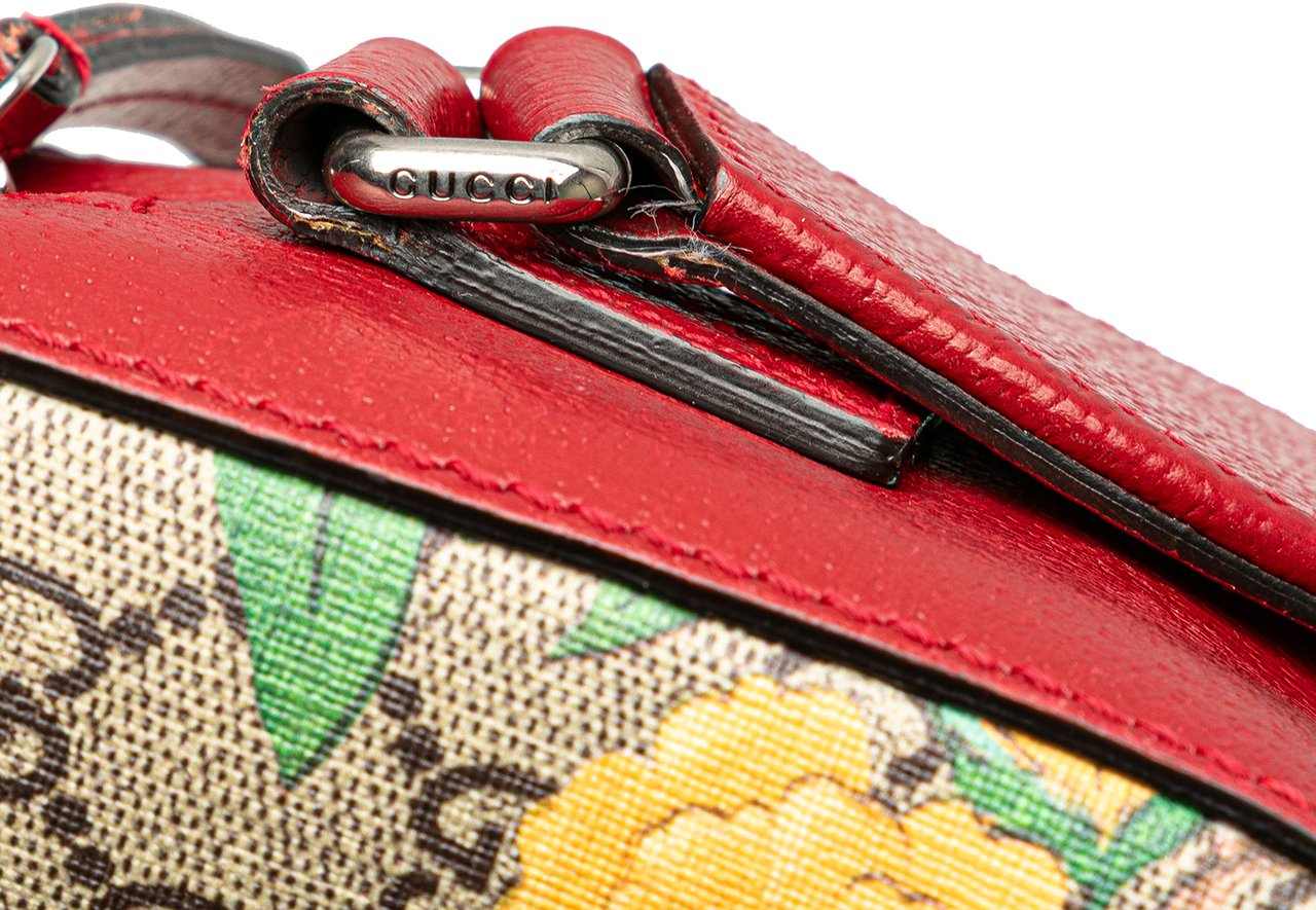 Gucci GG Supreme Tian Crossbody Bruin