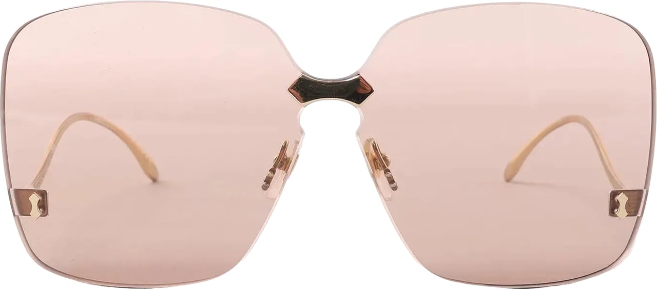 Gucci GG0352S 002 Sunglasses in Brown Bruin