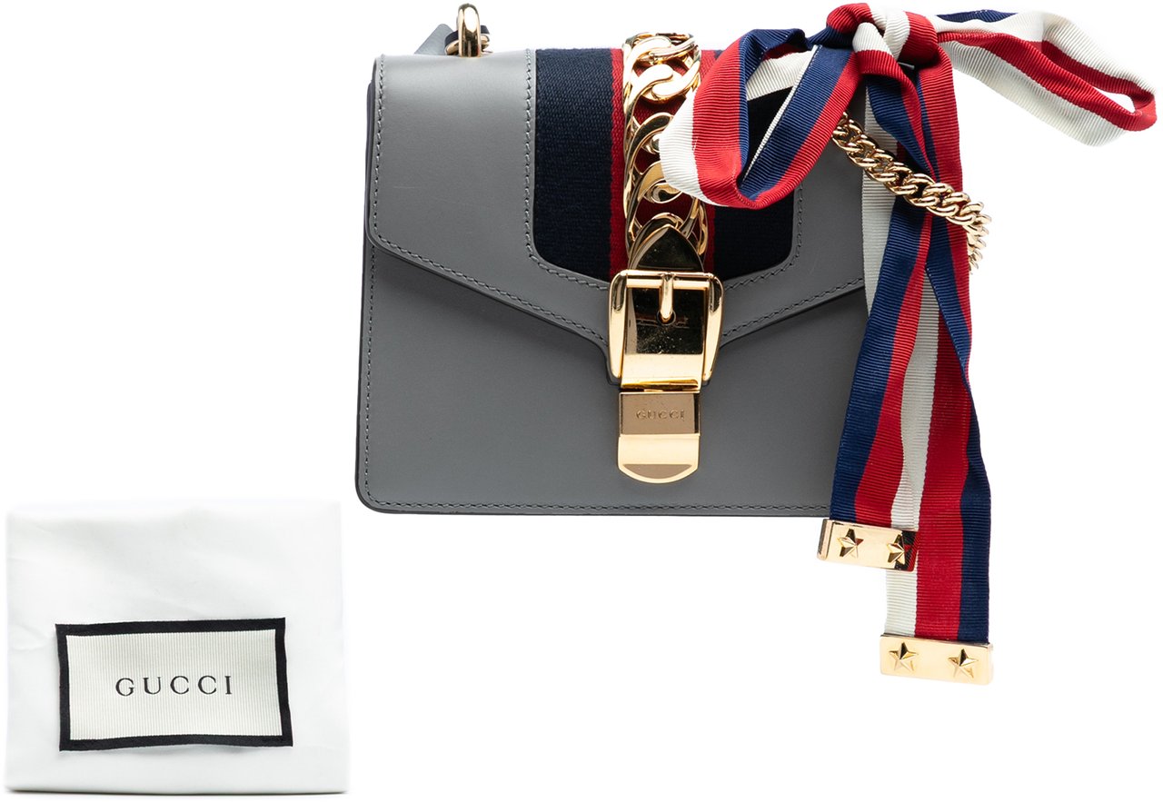 Gucci Mini Leather Web Sylvie Chain Crossbody Grijs