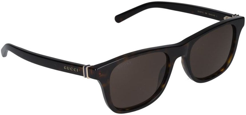 Gucci Sunglasses Gucci GG1671S 006 havana havana brown 53/19/145 Grijs