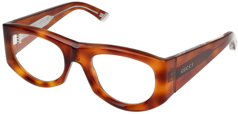 Gucci Sunglasses Gucci GG1917S 005 Havana Havana Transpa 53/21/140 Rood