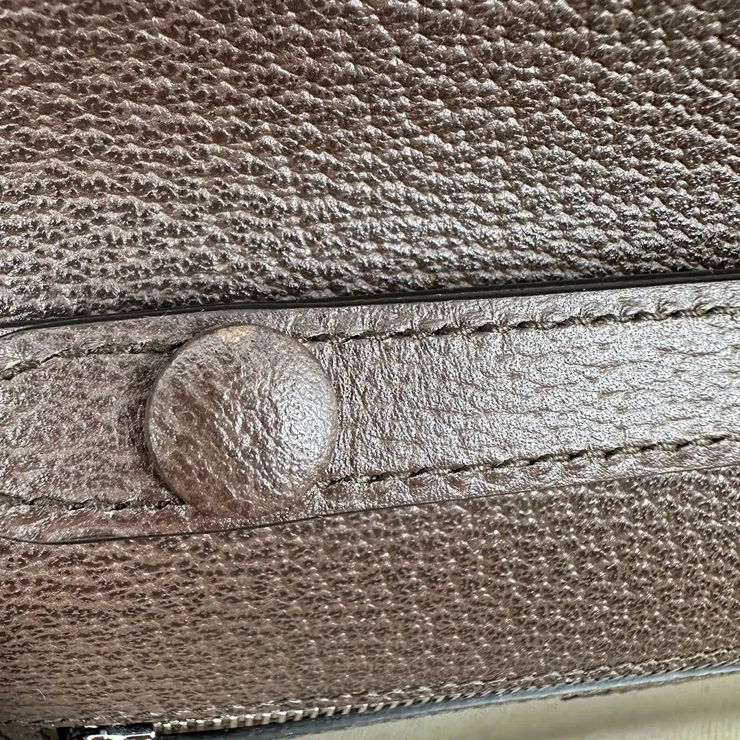 Gucci Gucci Dionysus small shoulder bag with wide shoulder strap / as good as new Beige