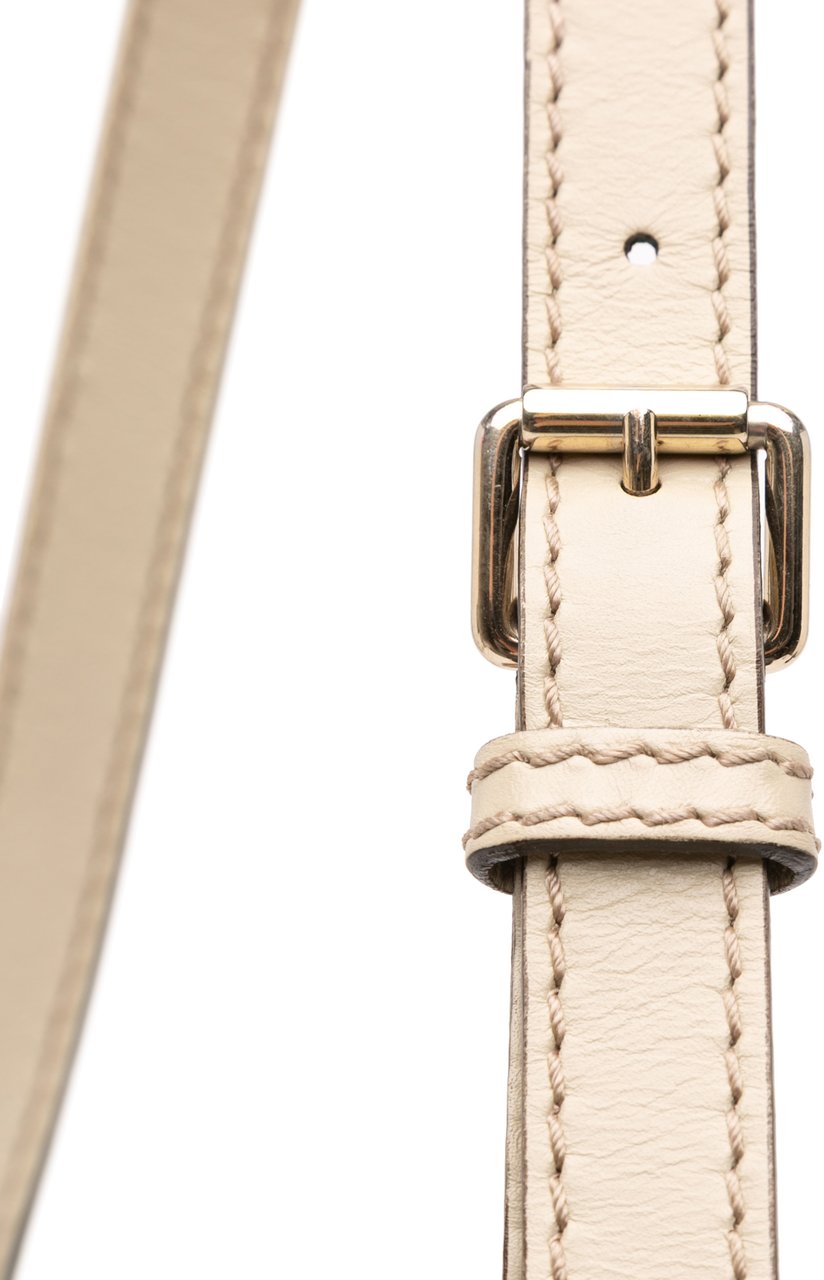 Gucci GG Canvas Sukey Satchel Bruin