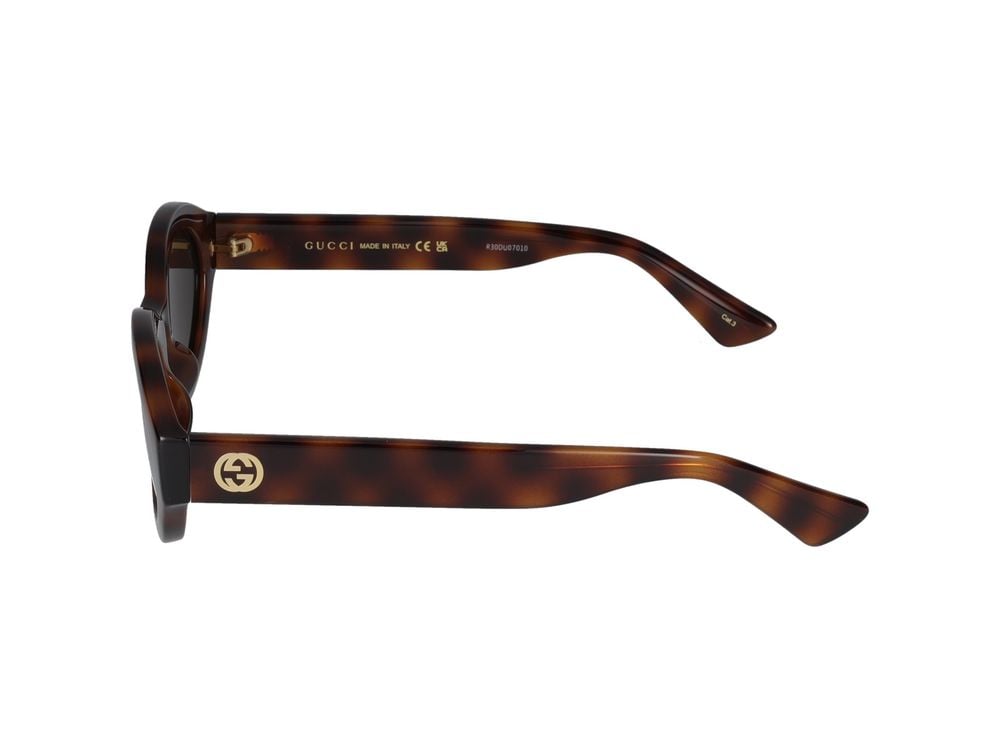 Gucci Sunglasses Gucci GG1579S 002 havana havana brown 53/22/140 Zwart