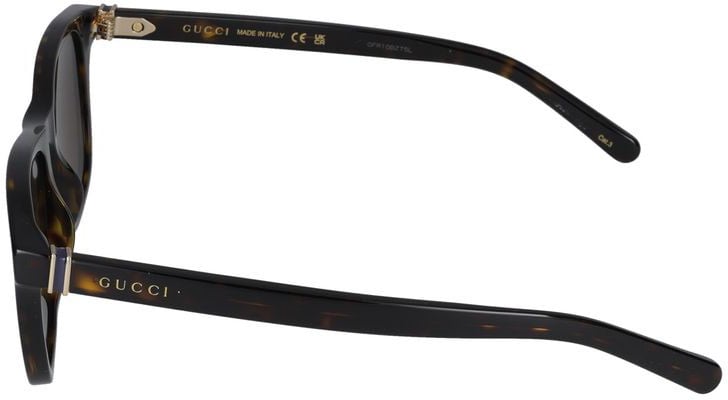 Gucci Sunglasses Gucci GG1671S 006 havana havana brown 53/19/145 Grijs