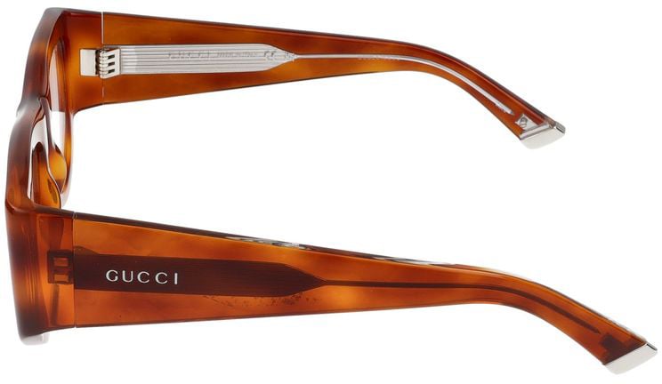 Gucci Sunglasses Gucci GG1917S 005 Havana Havana Transpa 53/21/140 Rood