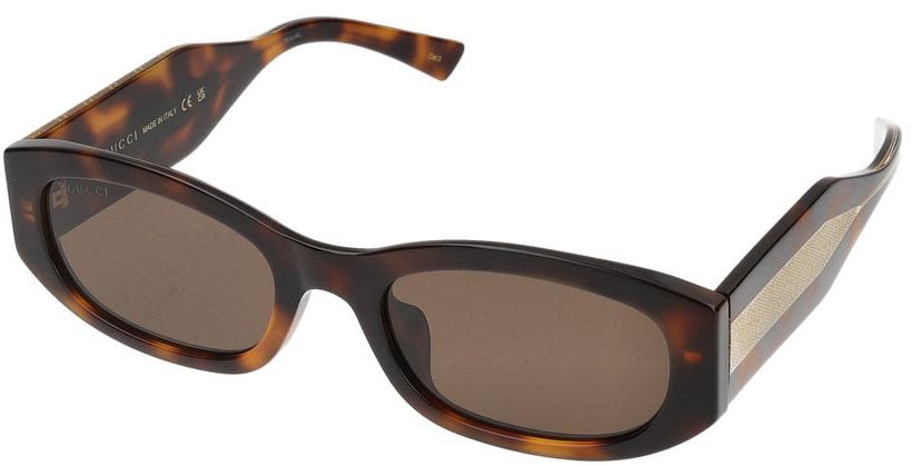 Gucci Sunglasses GG2068SA 002 havana havana brown 55/21/145 Bruin