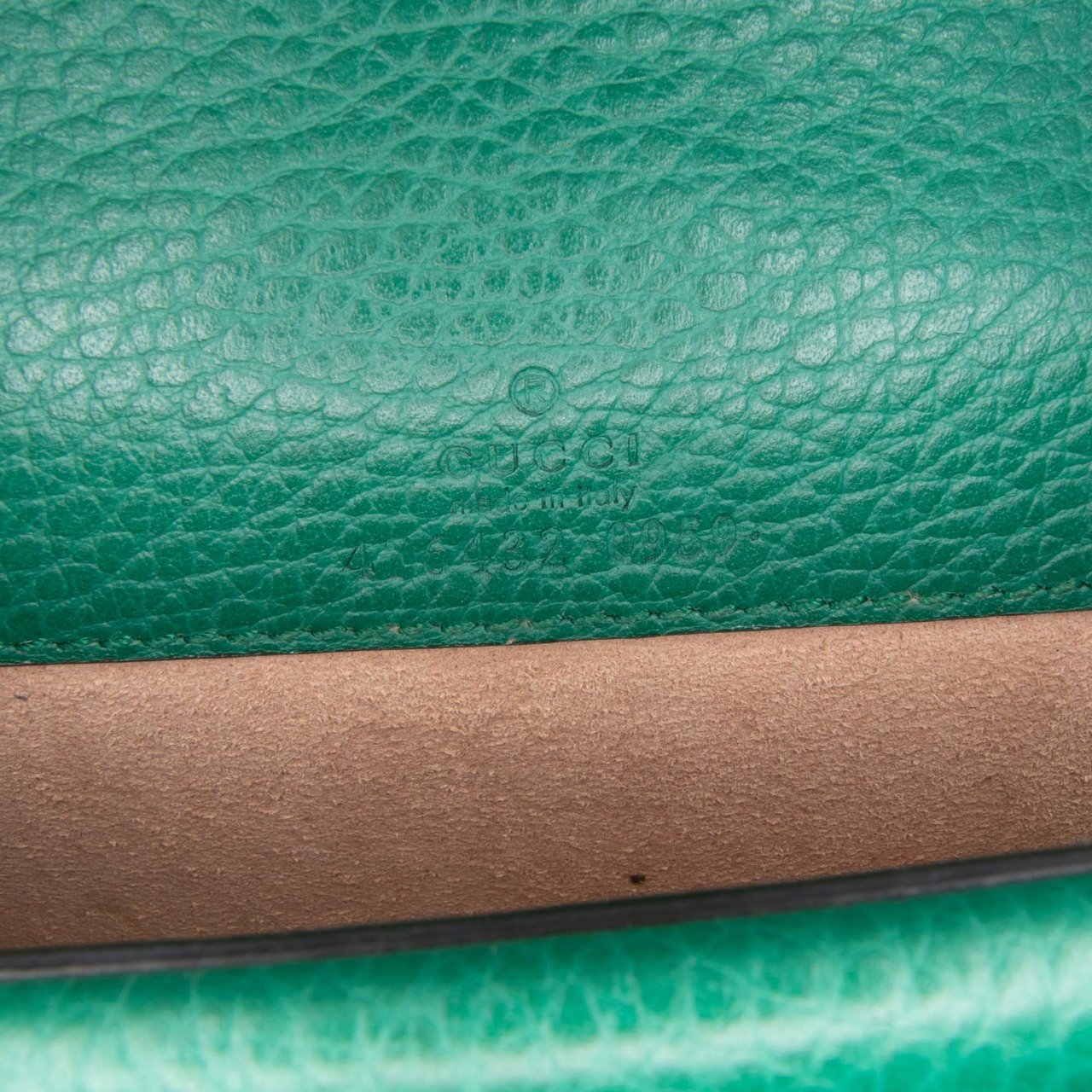 Gucci Mini Leather Dionysus Crossbody Groen