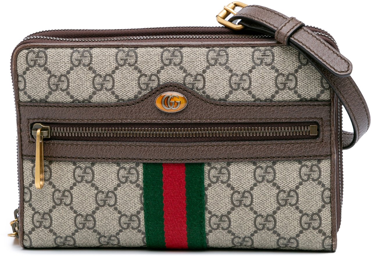 Gucci GG Supreme Ophidia Wallet On Chain Bruin