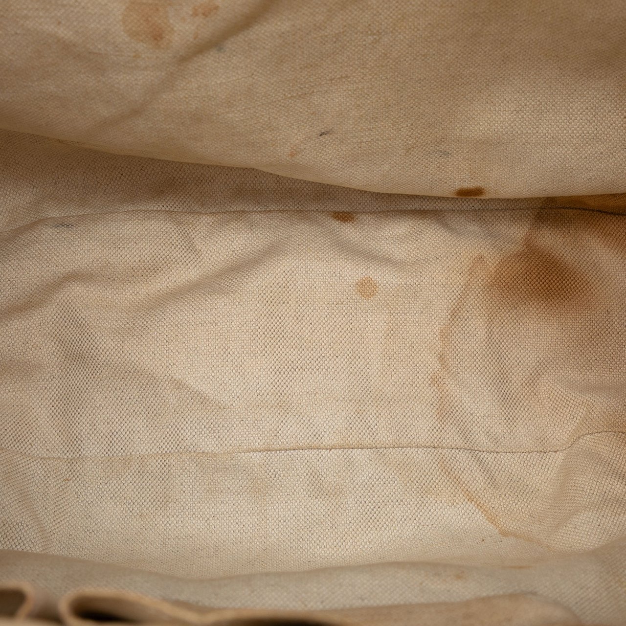 Gucci GG Canvas Web Rania Drawstring Hobo Bruin