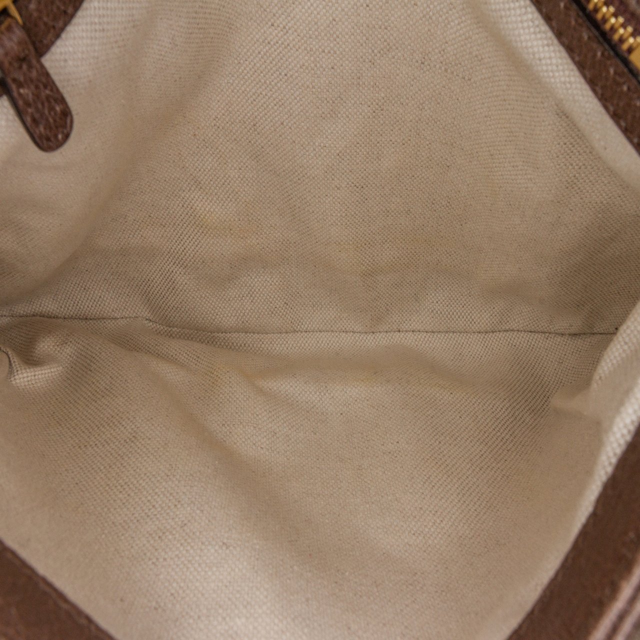 Gucci Medium GG Supreme Blondie Crossbody Bruin