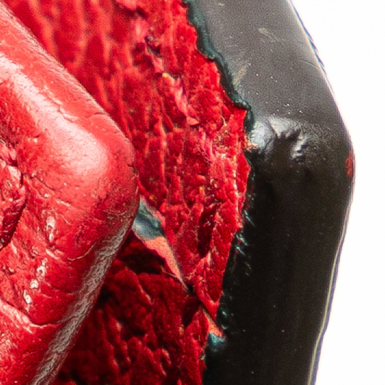 Gucci Leather Interlocking G Dollar Wallet on Chain Rood