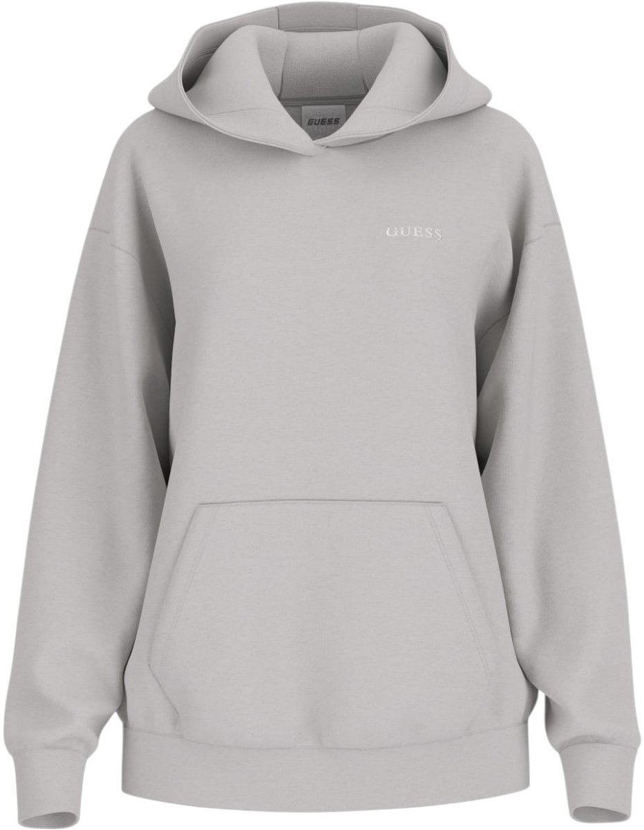 Guess Dames Trui Grijs