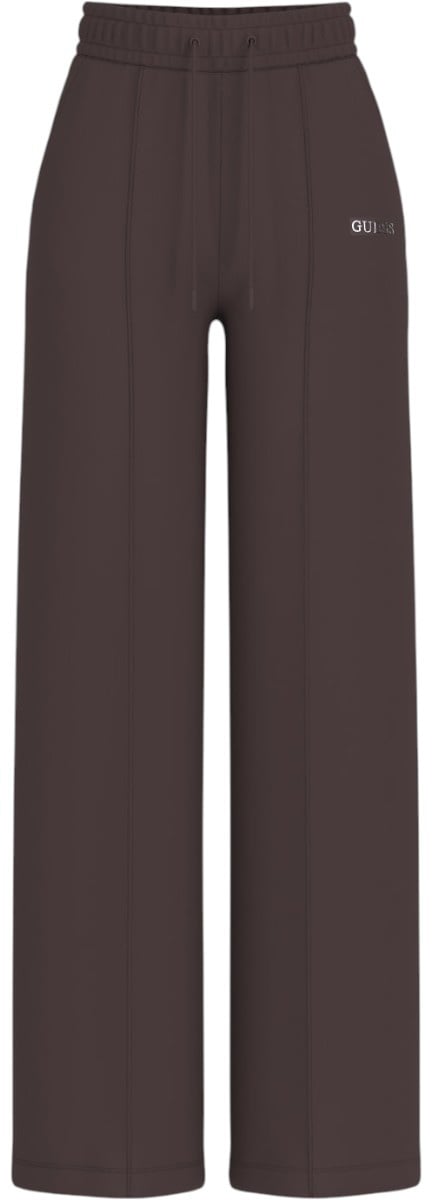 Guess Dames Broek Bruin