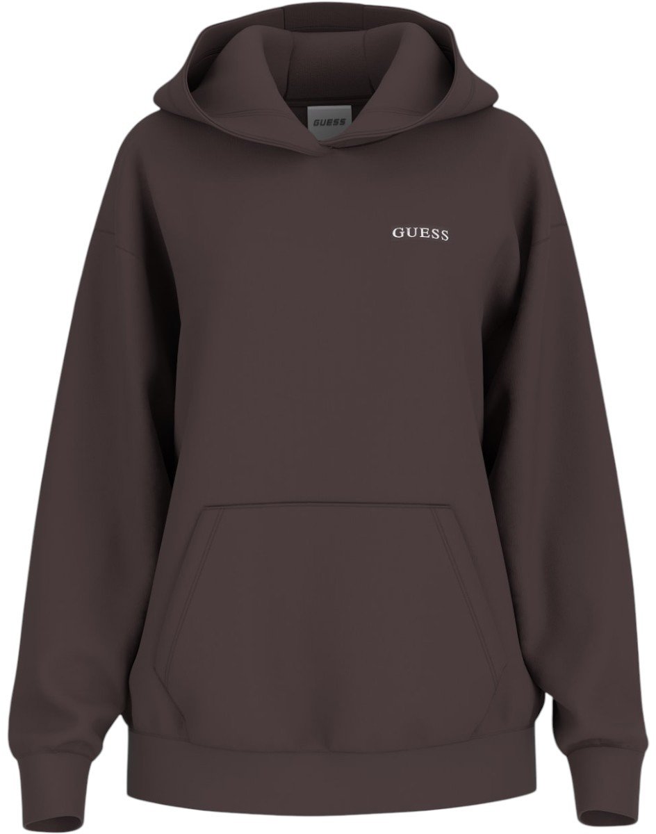 Guess Dames Trui Bruin