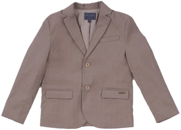 Guess Jackets Stone Grijs