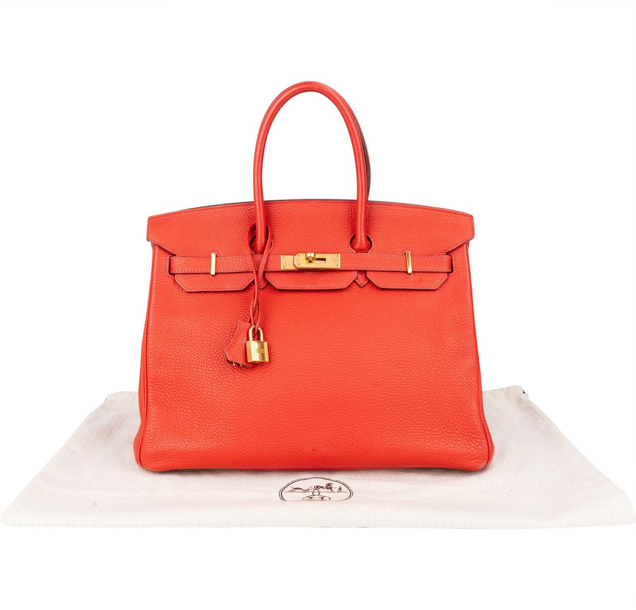 Hermès Hermès Rouge Fjord Leather Birkin 35 Handbag Rood
