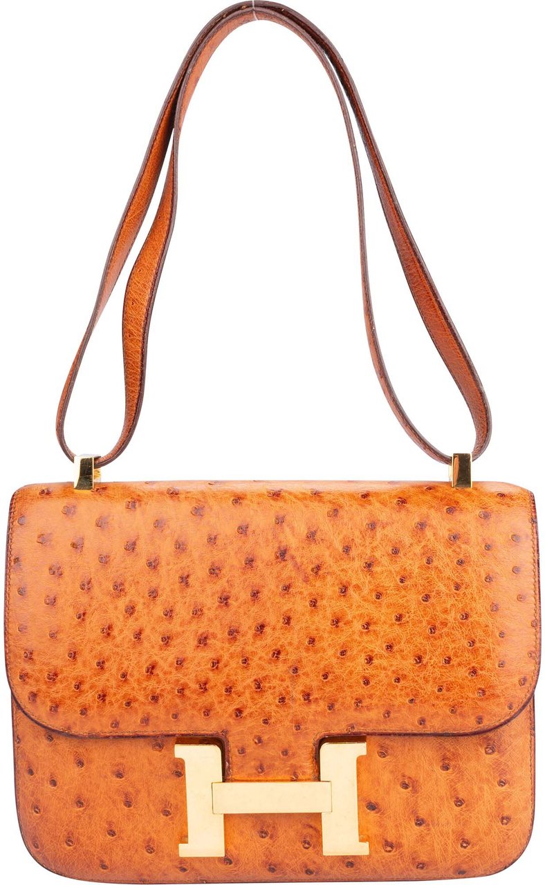 Hermès Hermes Ostrich Constance 23 Shoulder Bag Divers