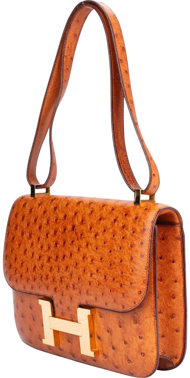 Hermès Hermes Ostrich Constance 23 Shoulder Bag Divers