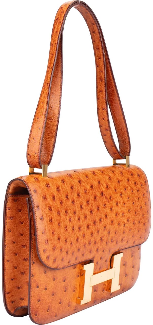 Hermès Hermes Ostrich Constance 23 Shoulder Bag Divers