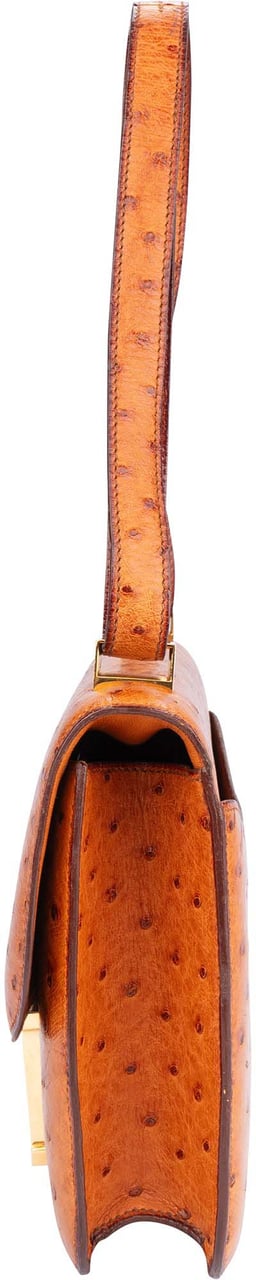 Hermès Hermes Ostrich Constance 23 Shoulder Bag Divers