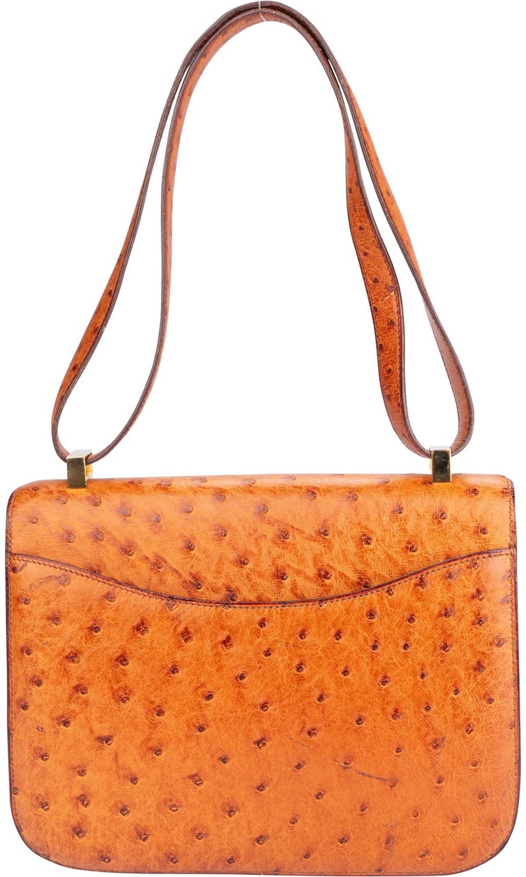 Hermès Hermes Ostrich Constance 23 Shoulder Bag Divers