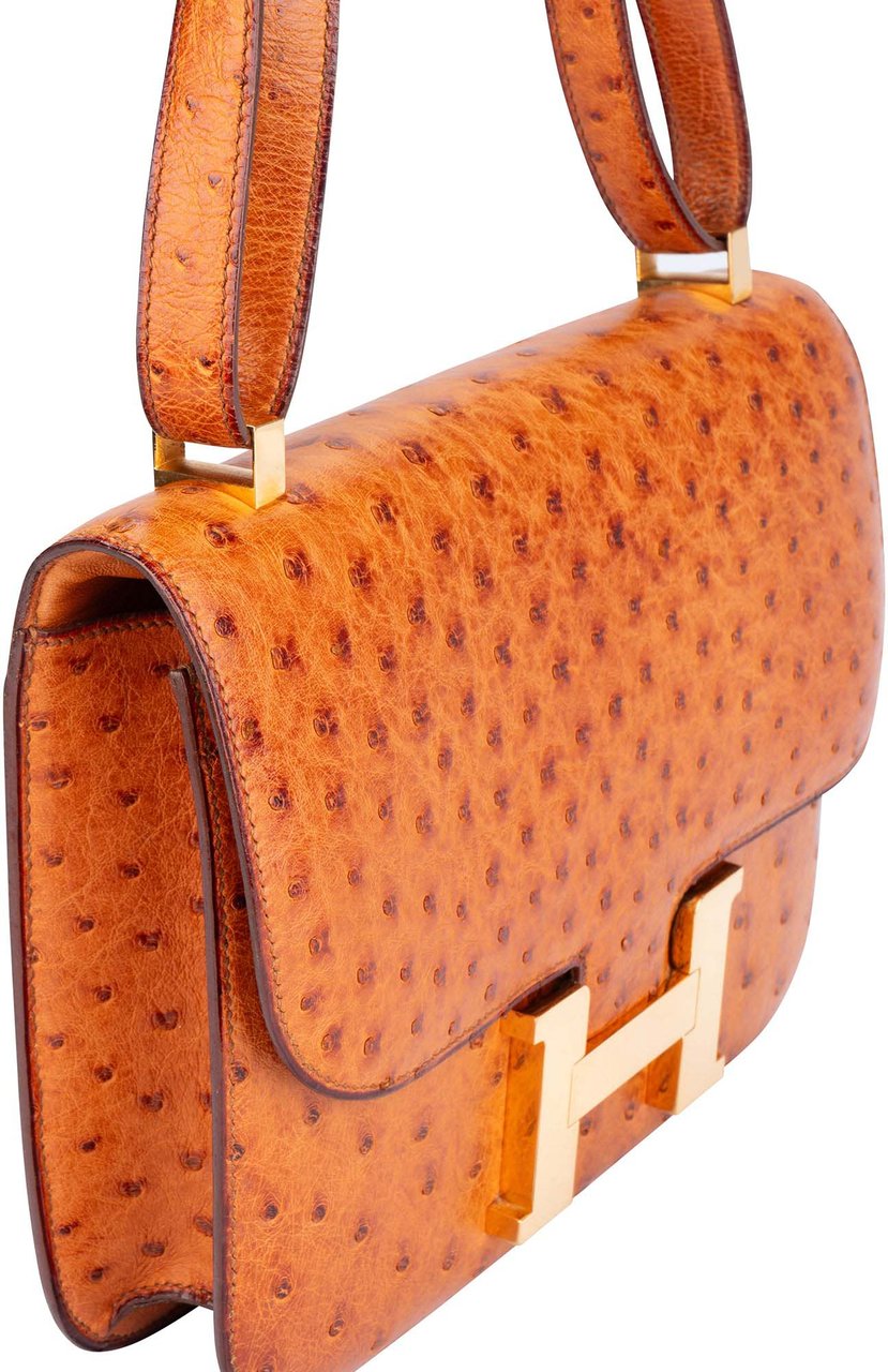 Hermès Hermes Ostrich Constance 23 Shoulder Bag Divers