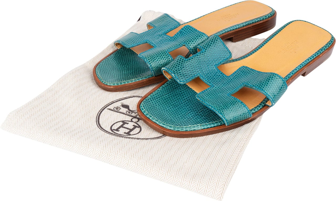 Hermès Hermès Bleu Lizard Leather Oran Sandals (36) Blauw