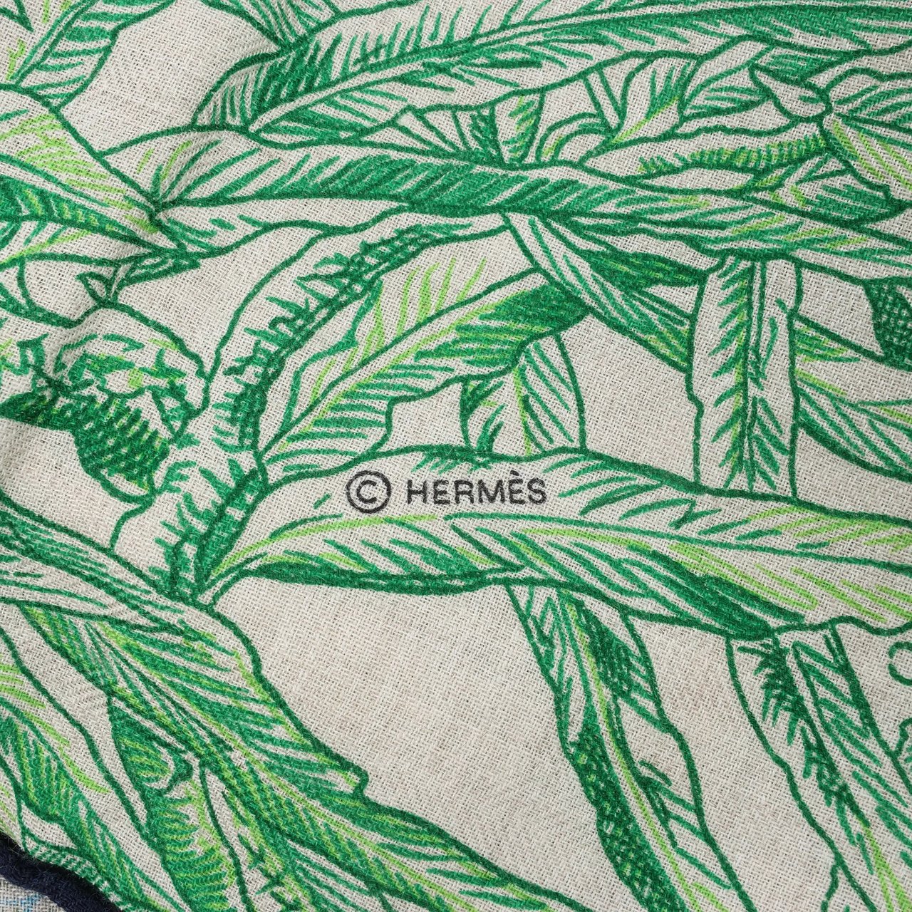 Hermès Hermès Carré Geant "BOTANICO DI PALERMO" Cashmere and Silk Scarf in Green Groen
