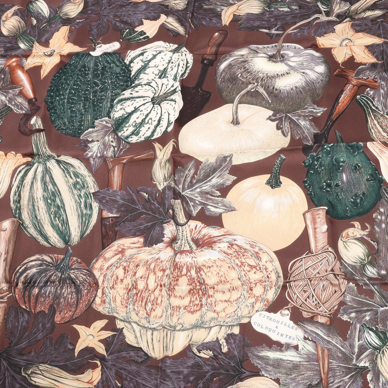 Hermès Hermès Carré 90 "CITROUILLES&COLOQU INTES" Silk handkerchief in Brown Bruin